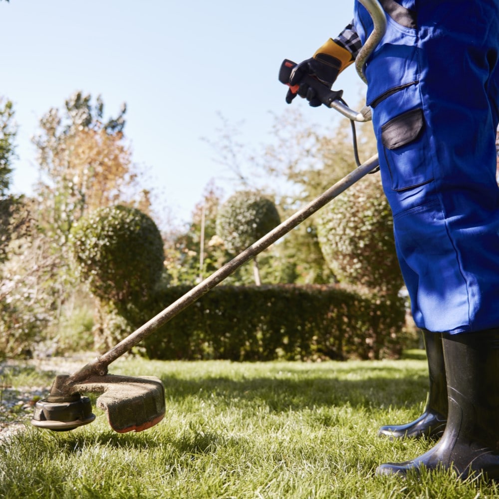 servicio jardinería